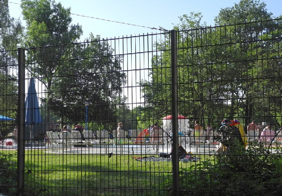 NiN-Sommer-1-k NiN-Sommer-1-k